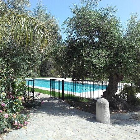 La Bastide De L'Oliveraie Le Castellet  Kültér fotó