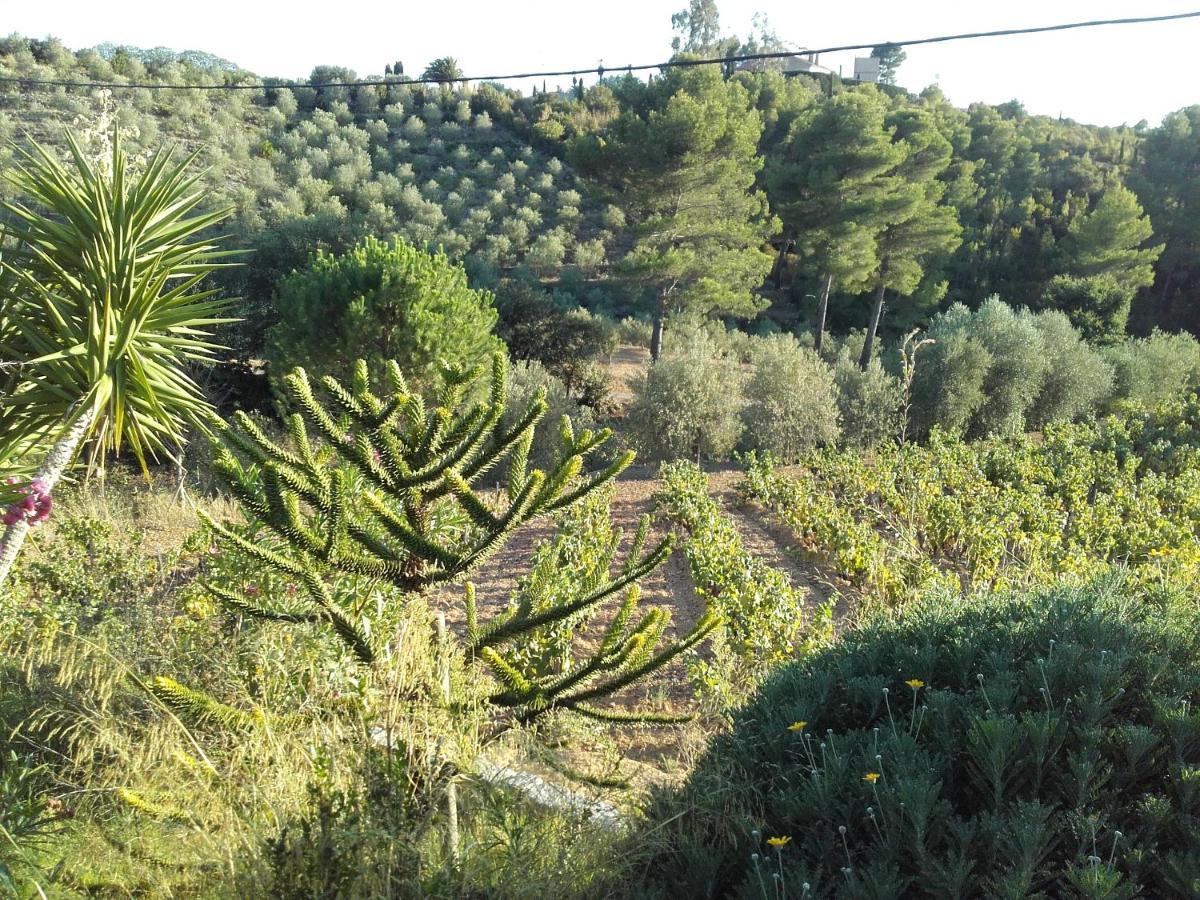 La Bastide De L'Oliveraie Le Castellet  Kültér fotó