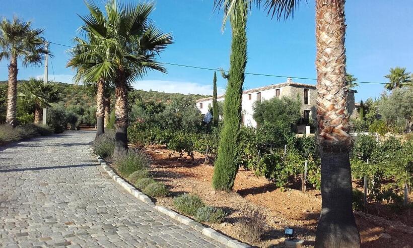 La Bastide De L'Oliveraie Le Castellet  Kültér fotó